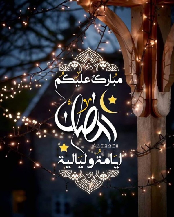 مبروك رمضان Twitter Web Solutions